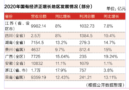 2020年國有經(jīng)濟(jì)正增長地區(qū)發(fā)展情況（部分）
